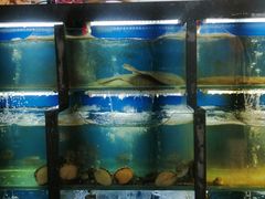 水产区-老东镇啤酒屋海鲜加工·蒸汽海鲜·海鲜烧烤(台东店)