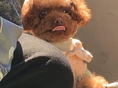 -佳雯宠物医院(金华南路分院)