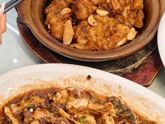 -东森家宴·惠州客家菜