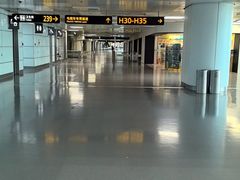 -郑州新郑国际机场-T2航站楼