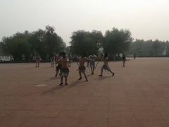 -太阳部落