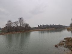 -白鹭湾湿地公园