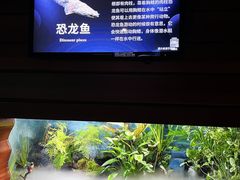 -太平洋海底世界