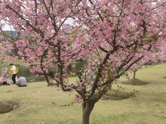 -同济大学(嘉定校区)