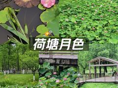-沐仙湖湿地公园