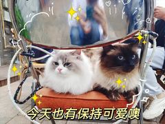 -白熊咖啡(闽江大道店)