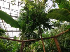 -呀路古热带植物园