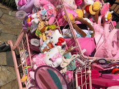-安吉Hello Kitty乐园