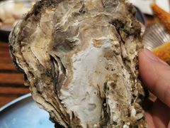 -蚝堡海鲜·威海菜·海肠捞饭·烧烤·亚洲吃蚝公司(幸福门店)