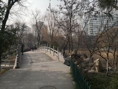 -莲湖公园