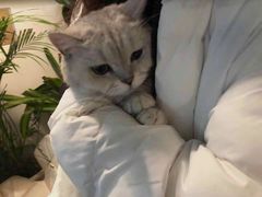 -小时光咖啡馆(北锣鼓巷店)