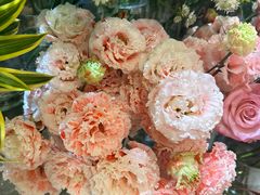 -向花仕Bloomy Life咖啡鲜花(益田假日店)