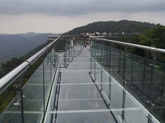 -呀诺达热带雨林