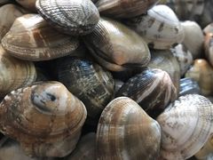 海鲜-新隆嘉 供销超市(修竹商场店)