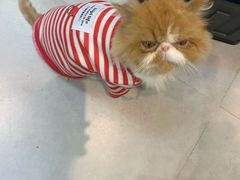 -Heymao猫咖.咖啡厅(东门店)