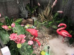 -河坝강뚝烧烤专门店(旗舰店)