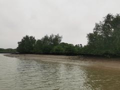 -东寨港红树林旅游区