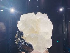 -中国地质大学逸夫博物馆