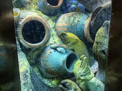 -太平洋海底世界