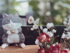 -T11生鲜超市(朝阳公园店)