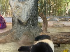 -海南热带野生动植物园
