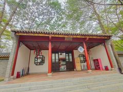 -顺峰山公园