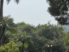 -晓港公园