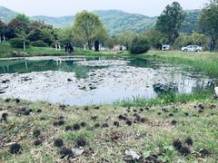 -龙寺生态园