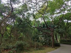 -燕晗山郊野公园