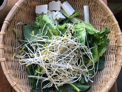 -马帮菜馆·美味野生菌