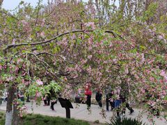 -元大都城垣遗址公园