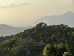 -三亚亚龙湾人间天堂鸟巢度假村
