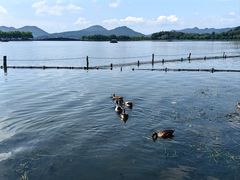 -北山街历史文化街区