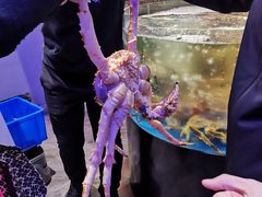 -蟹之国·精品蟹料理(极地店)