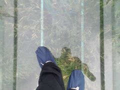 -陶祖圣境风景区