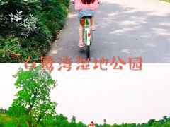 -白鹭湾湿地公园