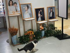 -云城照相馆(龙湖雨山天街店)