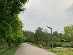 -东郊湿地公园