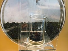 -喜茶(永旺梦乐城店)