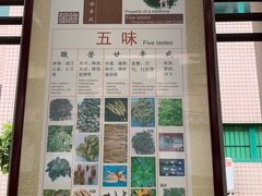 -广州神农草堂中医药博物馆