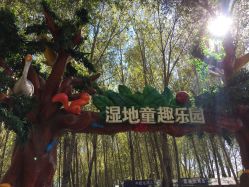 -汉石桥湿地童趣乐园