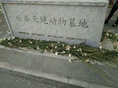 -北京麋鹿生态实验中心