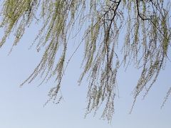 -石家庄市植物园