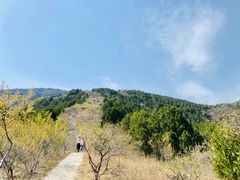 -北京西山国家森林公园