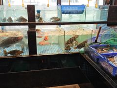-外婆家(杭州马塍店·杭帮菜名店)