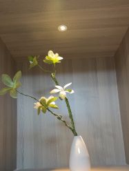 -丽都整形美容医院·全国连锁旗舰店