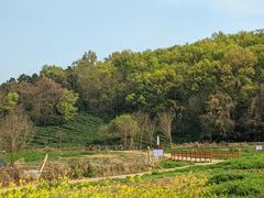-南山风景名胜区
