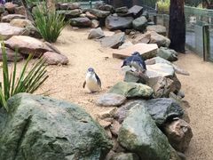 -费瑟代尔野生动物园