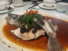 -老广酒楼(樱花店)