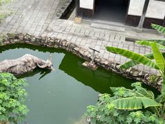 -燊海井